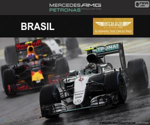 Puzzle Νίκο Ρόσμπεργκ, 2016 Βραζιλίας Grand Prix